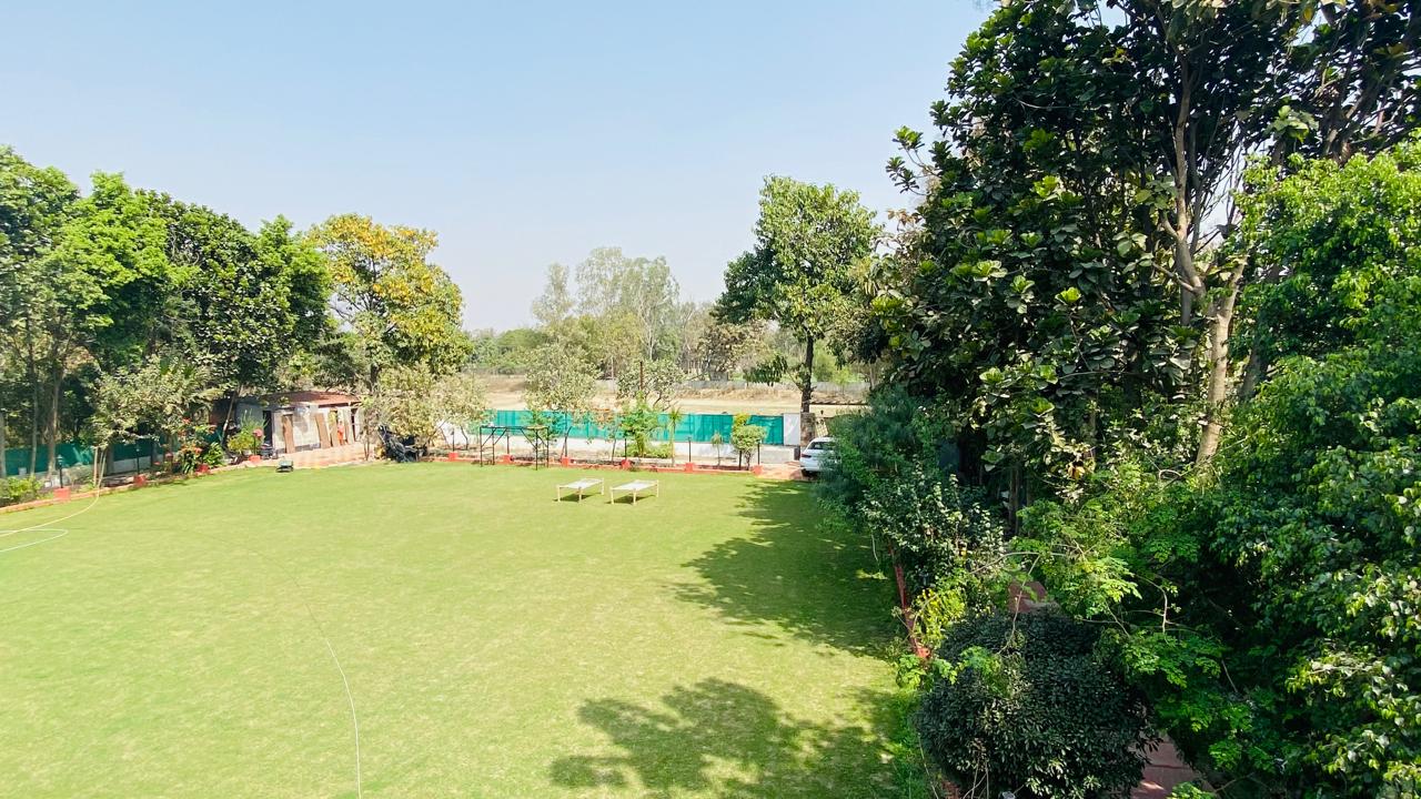Day view of green lawn